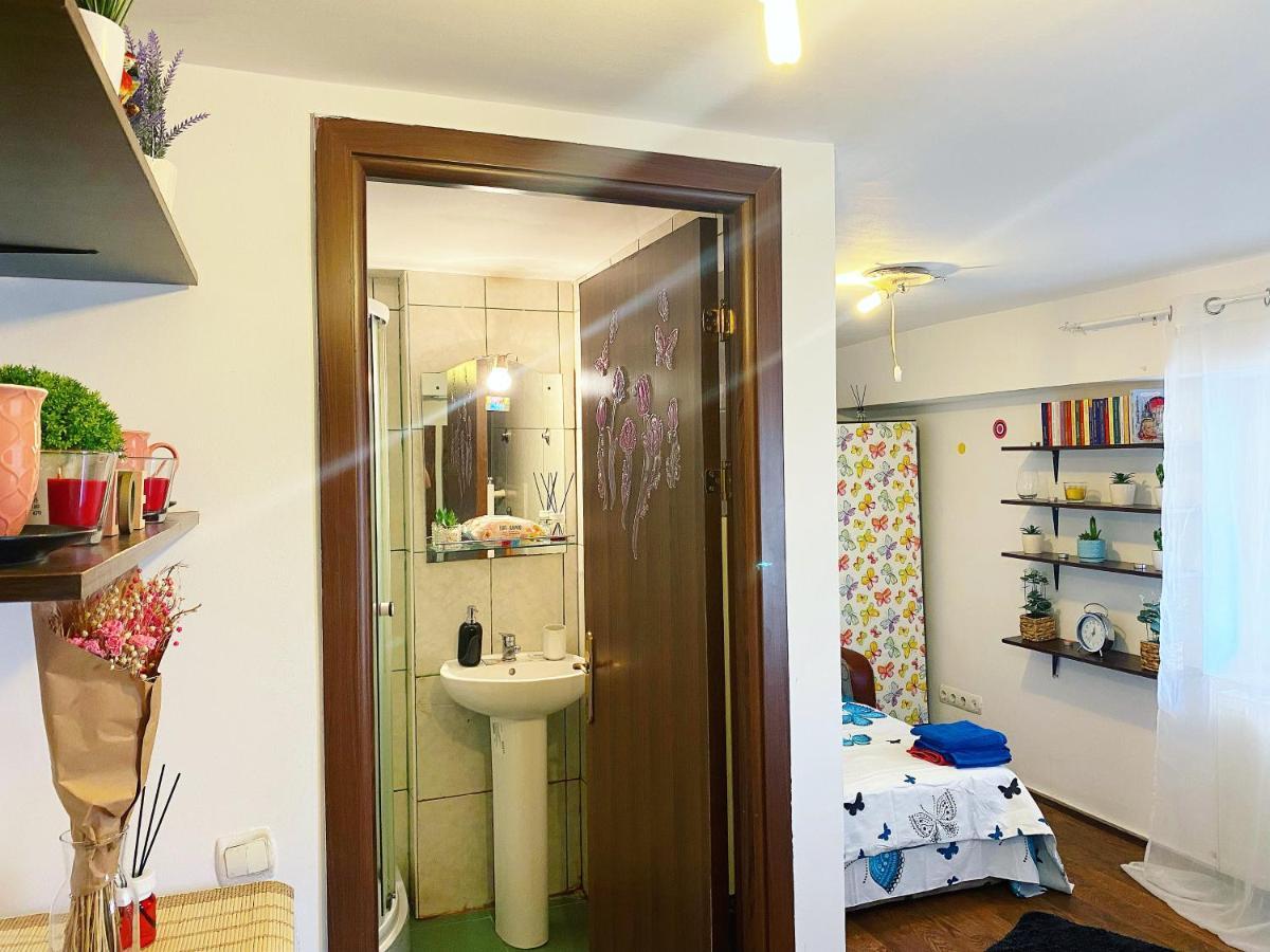 Casa Andu Apartman Bukarest Kültér fotó